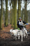 BSHRA Sherwood Forest, 21st Jan 2012.