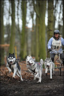 BSHRA Sherwood Forest, 21st Jan 2012.