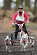 BSHRA Sherwood Forest, 21st Jan 2012.