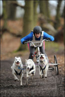 BSHRA Sherwood Forest, 21st Jan 2012.