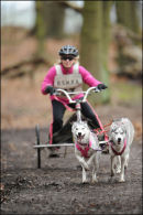 BSHRA Sherwood Forest, 21st Jan 2012.
