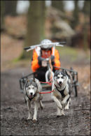 BSHRA Sherwood Forest, 21st Jan 2012.
