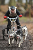 BSHRA Sherwood Forest, 21st Jan 2012.