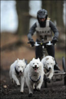 BSHRA Sherwood Forest, 21st Jan 2012.