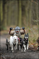BSHRA Sherwood Forest, 21st Jan 2012.