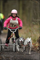 BSHRA Sherwood Forest, 21st Jan 2012.