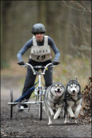 BSHRA Sherwood Forest, 21st Jan 2012.