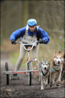 BSHRA Sherwood Forest, 21st Jan 2012.