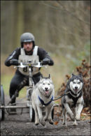BSHRA Sherwood Forest, 21st Jan 2012.