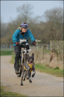CaniX Lydiard Park, 28th & 29th Jan 2012.                           
