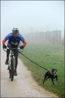 CaniX Lydiard Park, 28th & 29th Jan 2012.                           