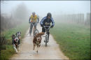 CaniX Lydiard Park, 28th & 29th Jan 2012.                           