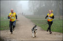 CaniX Lydiard Park, 28th & 29th Jan 2012.                           