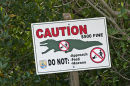 Warning Sign, Everglades