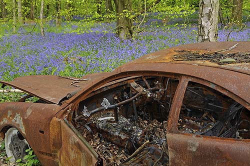 Burnt out car in Surrey Bluebell Wood