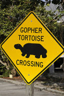 Gopher Tortoise warning sign, Everglades, Florida