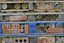 Minibeast Hotel, garden of nature reserve, Kent, England