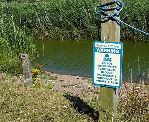Danger sign at Slapton Ley National Nature Reserve, 2006 - toxic algae