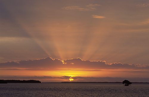 Sunrise, Everglades, Florida
