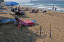 Nest site of Loggerhead Turtle on Cretan tourist beach. Crete, Greece