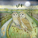 Barn Owls