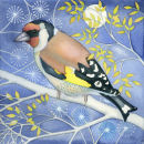 Goldfinch