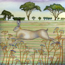 Running Hare