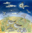 Sleeping gulls