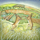 Boxing Hares