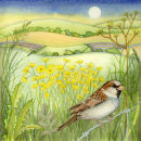 Sparrow