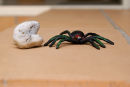 Learning shallow depth of field