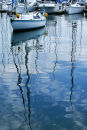 Harbour reflections Rushcutters Bay Sydney