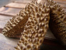 Kids look at form and texture