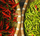 Read and green chillies