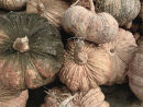 Textures and colours in market