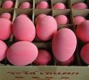 Festive coloured eggs