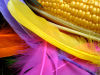 A photo of colour