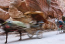 Galloping carriages Petra Jordan