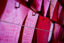 Shallow depth of field