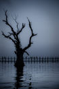 U Bein teak bridge Amarapura 
