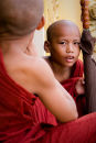 Young monks