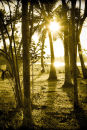 Shooting into the sun