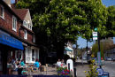 Cafe in spring