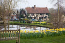 Chiddingfold in spring