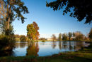 Petworth Park lake