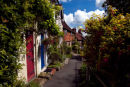 Shepherds Hill