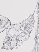 the end - details