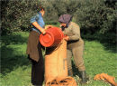 Bagging olives