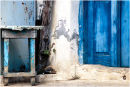 Blue Stool