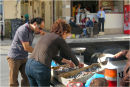 Fish for Sale #2